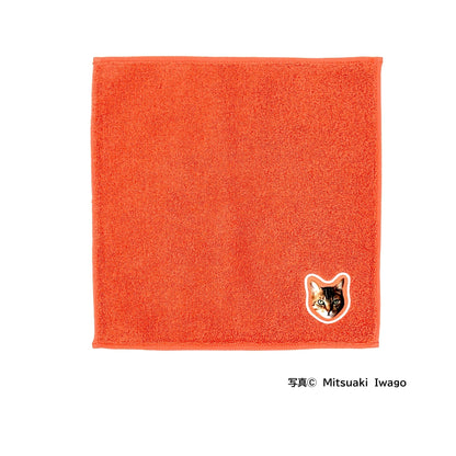 タマトモ　ハンカチタオル　(25cm×25cm)